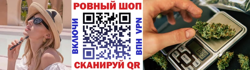 A PVP Талдом