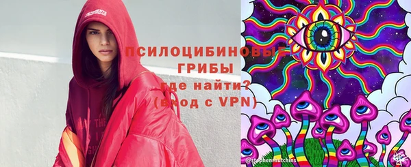 метадон Снежногорск