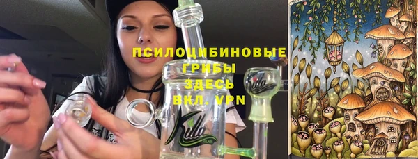 метадон Снежногорск