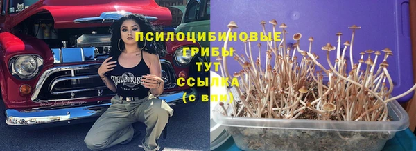 ешки Снежинск