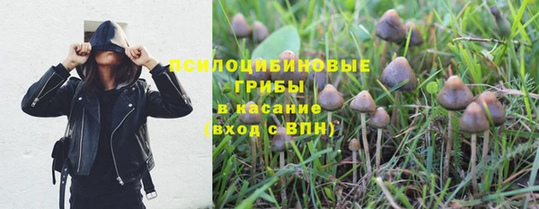 соль ск Белоозёрский