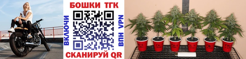 Каннабис марихуана  Талдом 